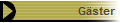 G�ster